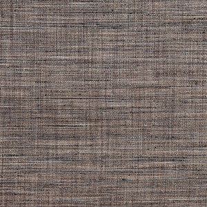 Carole Fabric Prodigy River Rock