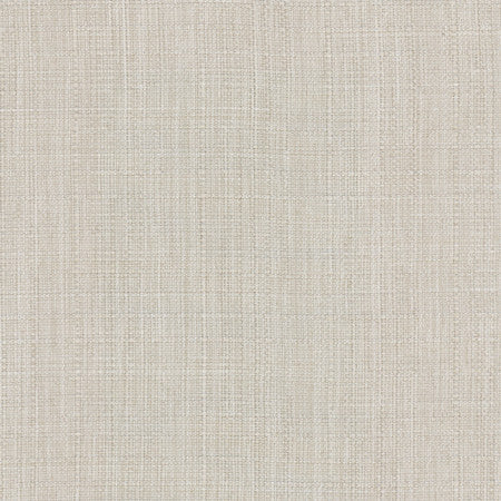 Intention Zinc by Carole Designer Fabric Head Start 100% Polyester Taiwan 25,000 Wyzenbeek Double Rubs None 54" - Swanky Fabrics -