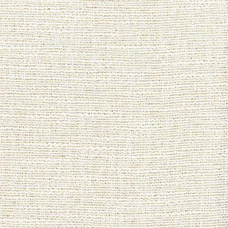 Place Among Paprika by Carole Designer Fabric Wellington 100% Polyester CHINA  21 1/2" V, 14" H 55"  - Swanky Fabrics -