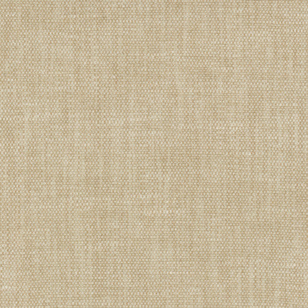 <p>Bessarion Quartz by Carole Designer Fabric</p><p><strong>Required Minimum Quantity Purchase: 2 yards</strong></p><p>Book: Prominence,Tuscan Sun</p><p>Content: 71% Polyester, 29% Cotton</p><p>Origin: </p><p>Performance: 15,000 Wyzenbeek Double Rubs</p><p>Repeat: None</p><p>Width: 55"</p>