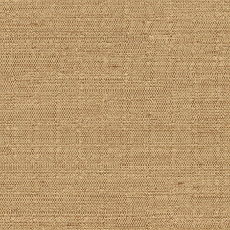 Aiden Camel by Carole Designer Fabric Aiden Gallery,Chestnut,Subtle Hints 100% Polyester INDIA PASSES 30,000 DOUBLE RUBS WYZENBEEK Horizontal: None and Vertical: None 56" - Swanky Fabrics -