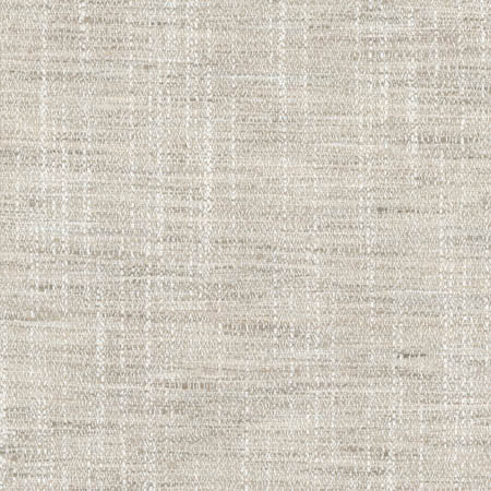 Sidewalk Silver by Carole Designer Fabric Abode 100% Polyester India 100,000 Wyzenbeek Double Rubs None 54" - Swanky Fabrics -