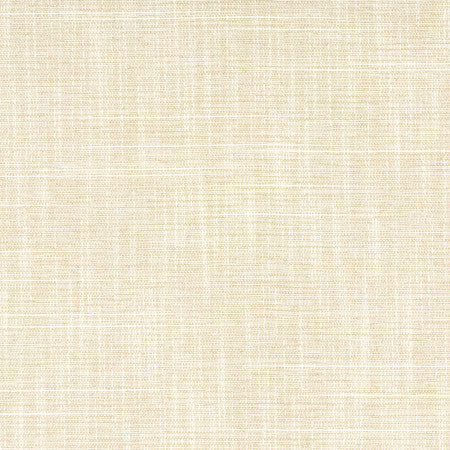 Big Thinker Bisque by Carole Designer Fabric Power Play 100% Polyester N/A None 55" - Swanky Fabrics -