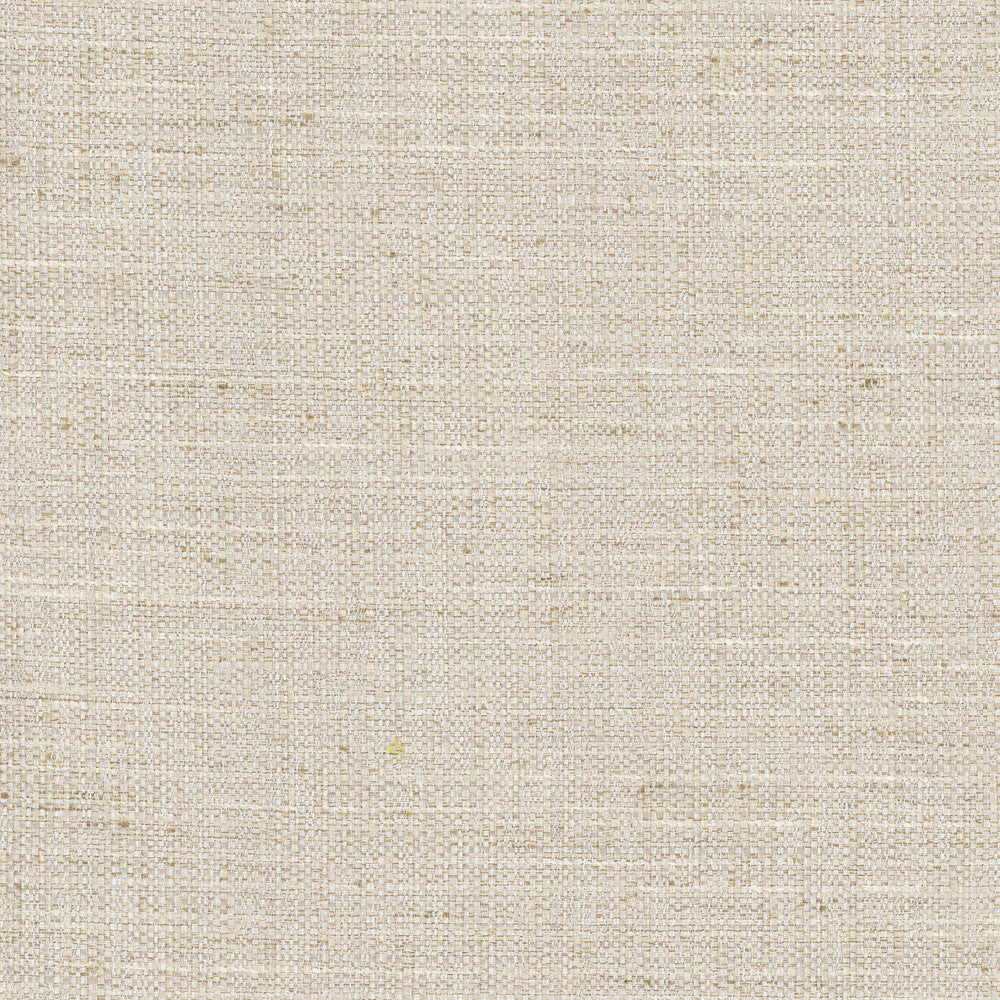 Rock Wall Linen by Carole Designer Fabric Opal 83% Polyester, 12% Cotton, 5% Rayon India N/A Horizontal: 0 and Vertical: 0 55 - Swanky Fabrics -