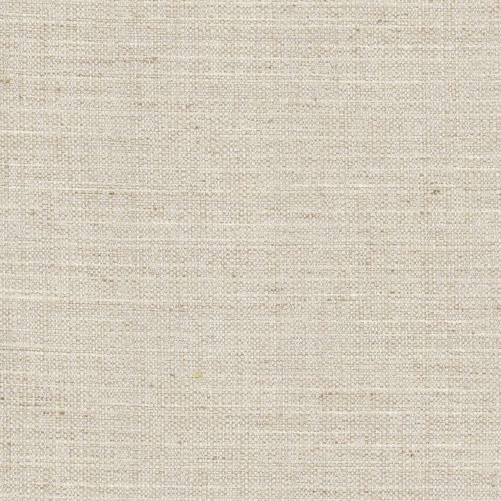 Rock Wall Linen by Carole Designer Fabric Opal 83% Polyester, 12% Cotton, 5% Rayon India N/A Horizontal: 0 and Vertical: 0 55 - Swanky Fabrics -