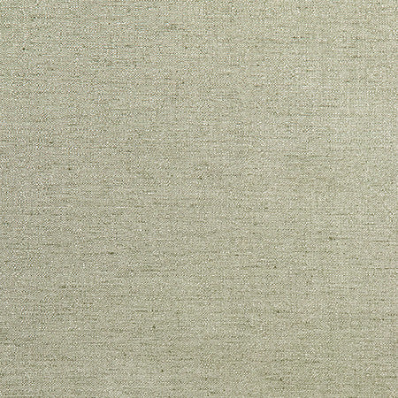 Admiration Sage by Carole Designer Fabric Best Dressed 83% Polyester, 17% Cotton 15,000 Wyzenbeek Double Rubs None 54" - Swanky Fabrics -