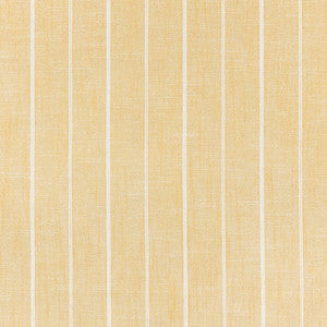 Carole Fabric On The Horizon Sunny