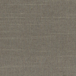 Carole Fabric Succulent Cement