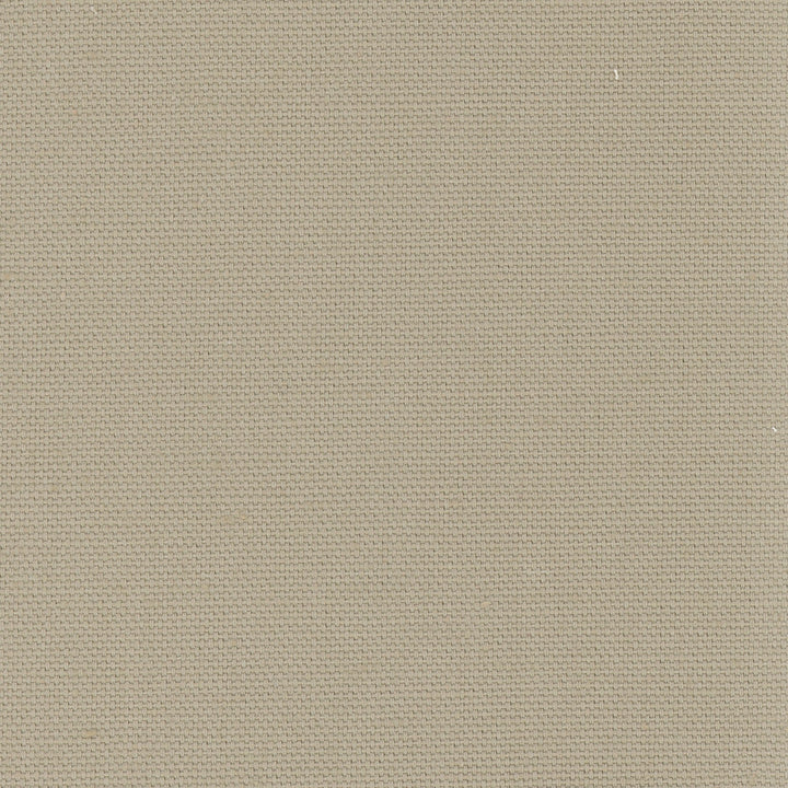 Daydreamer Beach by Carole Designer Fabric Daydreaming 100% Cotton- Soil Release USA Passes 30,000 Double Rubs Wyzenbeek Horizontal: 0 and Vertical: 0 54 - Swanky Fabrics -