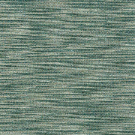 Optimism Lagoon by Carole Designer Fabric Synchrony 100% IFR Polyester India 5,000 Wyzenbeek Double Rubs None 54" - Swanky Fabrics -