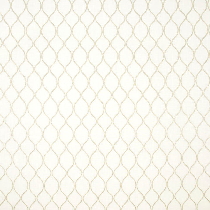 Unbreakable Beige by Carole Designer Fabric Birch 66% Cotton, 20% Polyester, 14% Zari India Passes 50,000 Double Rubs Wyzenbeek Horizontal: 275 and Vertical: 475 53 - Swanky Fabrics -