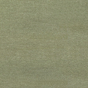 Carole Fabric Illustrious Thyme