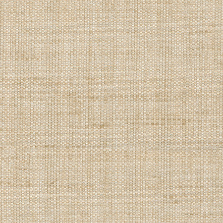 Breather Linen by Carole Designer Fabric Synchrony 100% Polyester Turkey 30,000 Wyzenbeek Double Rubs None 54" - Swanky Fabrics -