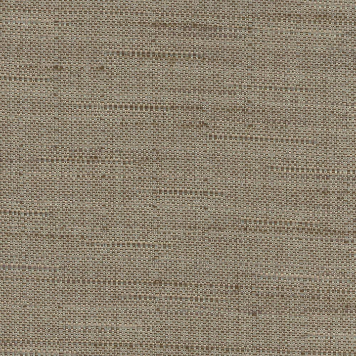 Banksville Mushroom by Carole Designer Fabric Bigelow 100% Polyester Mexico Passes 18,000 Double Rubs Wyzenbeek Horizontal: 0 and Vertical: 0 54 - Swanky Fabrics -