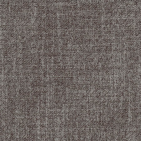 Enthusiasm Flint by Carole Designer Fabric Dove Wing 100% Polyester INDIA None 54" - Swanky Fabrics -