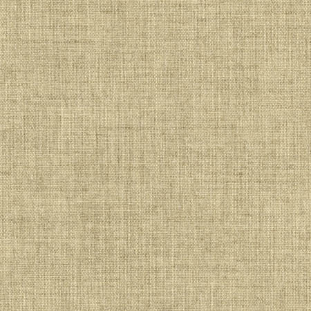 Aerial Khaki by Carole Designer Fabric Laguna 100% Polyester INDIA None 54" - Swanky Fabrics -