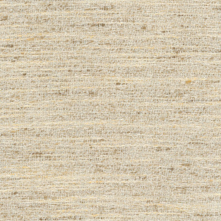 Pop Fly Ivory by Carole Designer Fabric Texture Theory,Let's Mingle 100% Polyester India N/A None 57" - Swanky Fabrics -