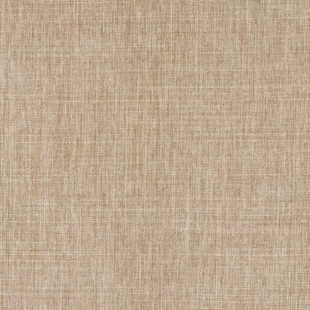 Intention Sahara by Carole Designer Fabric Head Start,Power Play 100% Polyester 25,000 Wyzenbeek Double Rubs None 54" - Swanky Fabrics -