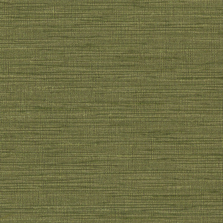 Optimism Forest by Carole Designer Fabric Synchrony 100% IFR Polyester India 5,000 Wyzenbeek Double Rubs None 54" - Swanky Fabrics -