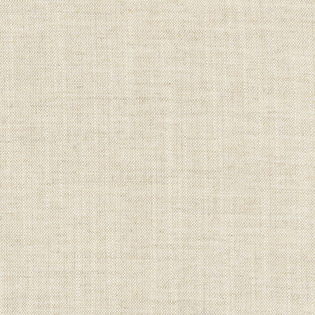 Aerial Flax by Carole Designer Fabric Opal 100% Polyester India Passes 50,000 Double Rubs Wyzenbeek Horizontal: None and Vertical: None 56" - Swanky Fabrics -