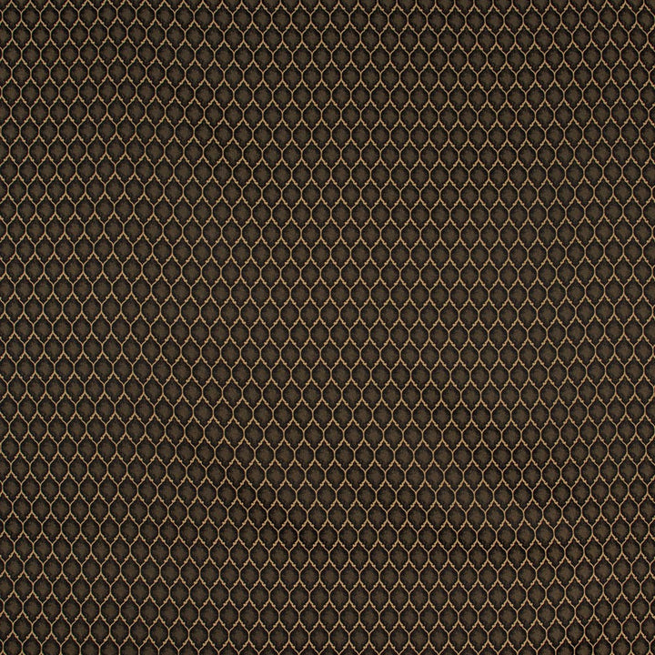 Girls Night Out Onyx by Carole Designer Fabric Winner'S Circle 100% Polyester Turkey Passes 15,000 Double Rubs Wyzenbeek Horizontal: 15 and Vertical: 25 55 - Swanky Fabrics -