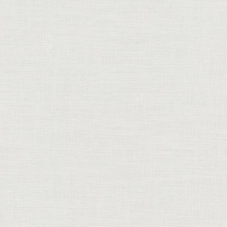 Fundamental Pewter by Carole Designer Fabric FUNDAMENTAL 100% Polyester Turkey Passes 20,000 Double Rubs Wyzenbeek Horizontal: 0" and Vertical: 0" 54" - Swanky Fabrics -