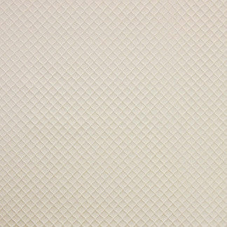 Contemplation Ivory by Carole Designer Fabric Silver Screen 100% Polyester China Passes 15,000 Double Rubs Wyzenbeek Horizontal: 0" and Vertical: 0" 55" - Swanky Fabrics -