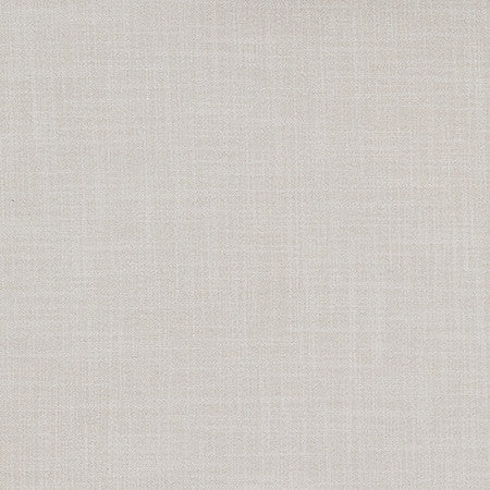 Biophile Froth by Carole Designer Fabric Reclamation 66% Recycled Polyester, 34% Cationic 50,000 Wyzenbeek Double Rubs None 54" - Swanky Fabrics -