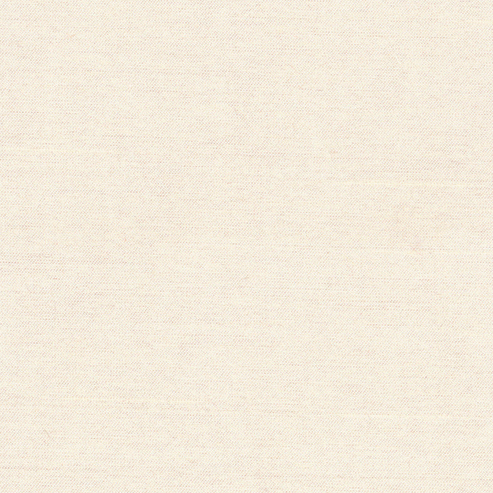 Northwind Oyster by Carole Designer Fabric New Northwind Iv 100% Polyester India Passes 9,000 Double Rubs Wyzenbeek Horizontal: 0 and Vertical: 0 54 - Swanky Fabrics -