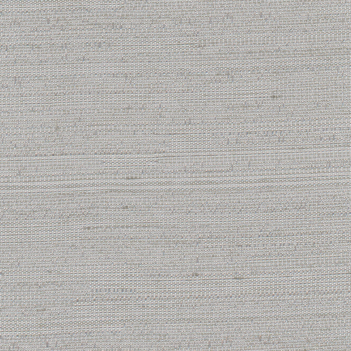 Aiden Pearl Grey by Carole Designer Fabric Pewter 100% Polyester India N/A Horizontal: 0 and Vertical: 0 54 - Swanky Fabrics -