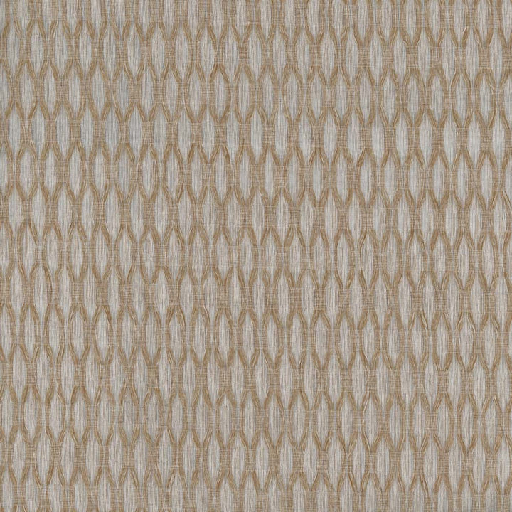 Light It Up Raffia by Carole Designer Fabric Sheer Divine 100% Polyester Turkey N/A Horizontal: 5 and Vertical: 125 118 - Swanky Fabrics -