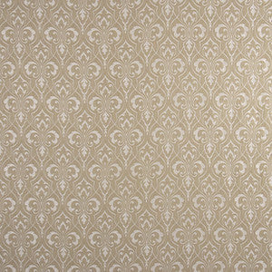 Carole Fabric Positive Karma Champagne