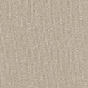 Carole Fabric Warm Up Beige
