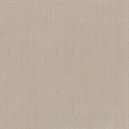 Tempt Silt by Carole Designer Fabric Royale 100% IFR Polyester India Passes 45,000 Double Rubs Wyzenbeek Horizontal: None and Vertical: None 54" - Swanky Fabrics -