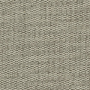 Carole Fabric Brookings Slate