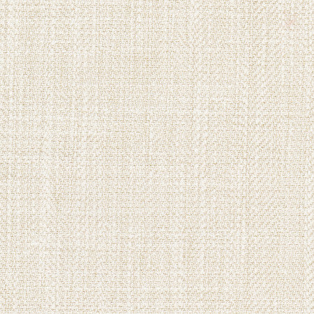 Fall Point Sand Dollar by Carole Designer Fabric On POint 43% Polyester, 19% Linen, 19% Cotton, 19% Rayon INDIA 100,000 Wyzenbeek Double Rubs </p><p>Repeat: None 54" - Swanky Fabrics -