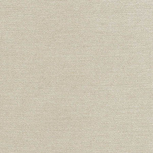 Carole Fabric Total Dream Pewter