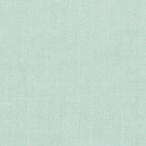 Carole Fabric Tempt Robin's Egg