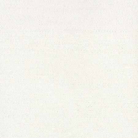 Aiden Off White by Carole Designer Fabric Aiden Gallery,Opal,Subtle Hints 100% Polyester INDIA PASSES 30,000 DOUBLE RUBS WYZENBEEK None 56" - Swanky Fabrics -