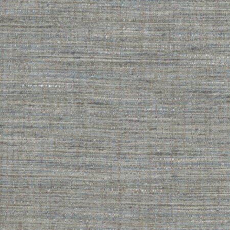 Gear Up Storm by Carole Designer Fabric Pewter 100% Polyester India Passes 30,000 Double Rubs Wyzenbeek Horizontal: None and Vertical: None 5475" - Swanky Fabrics -