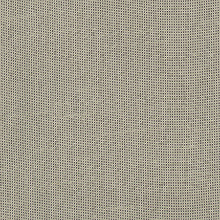 Fleeting Pebble by Carole Designer Fabric Royale 100% Polyester India Passes 50,000 Double Rubs Wyzenbeek Horizontal: None and Vertical: None 54" - Swanky Fabrics -