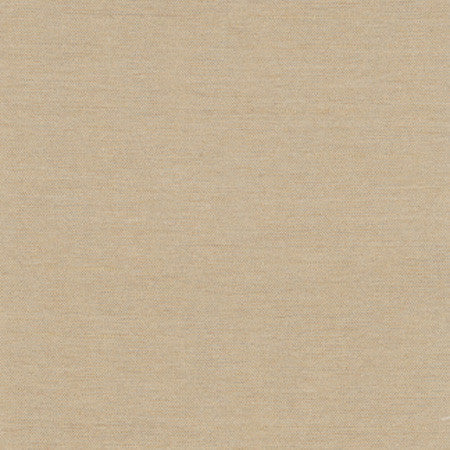 Northwind Tussah by Carole Designer Fabric New Northwind Iii,New Northwind IV 100% Polyester India Passes 9,000 Double Rubs Wyzenbeek Horizontal: None and Vertical: NONE 54" - Swanky Fabrics -
