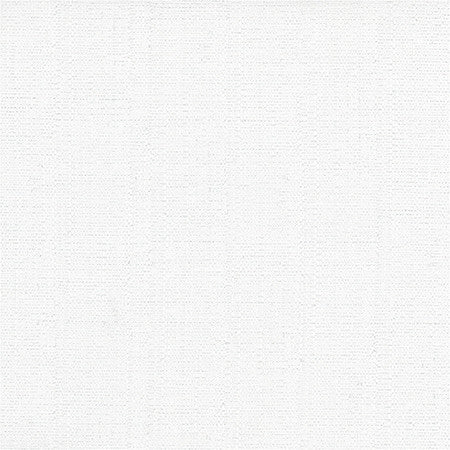 Cortland Pearl by Carole Designer Fabric Gala 100% Polyester India 30,000 WYZENBEEK DOUBLE RUBS None 54.75" - Swanky Fabrics -