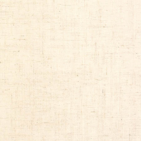 Duty Calls Natural by Carole Designer Fabric Toasted Almond 77% Polyester, 14% Cotton, 9% Linen INDIA N/A None 54" - Swanky Fabrics -