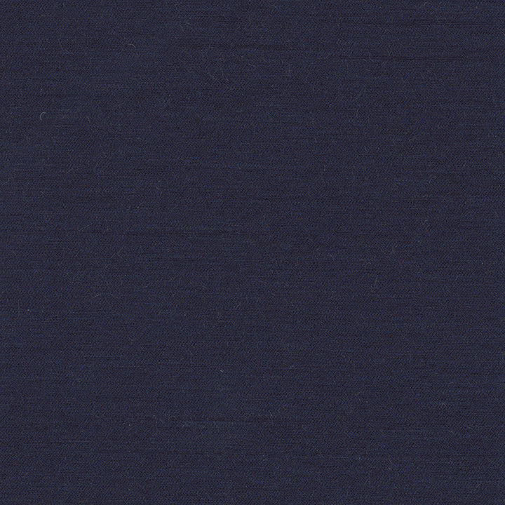 Northwind Atlantic by Carole Designer Fabric New Northwind Iv 100% Polyester India Passes 9,000 Double Rubs Wyzenbeek Horizontal: 0 and Vertical: 0 54 - Swanky Fabrics -