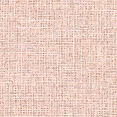 Adjuster Blush by Carole Designer Fabric Sunbaked 62% Polyester, 32% Cotton, 6% Viscose INDIA None 54" - Swanky Fabrics -