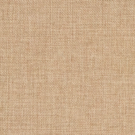 Director's Cut Honey by Carole Designer Fabric Power Play 100% Polyester N/A None 55" - Swanky Fabrics -