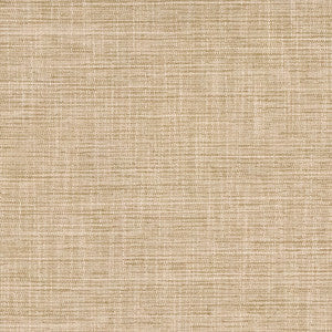 Carole Fabric Big Thinker Toast