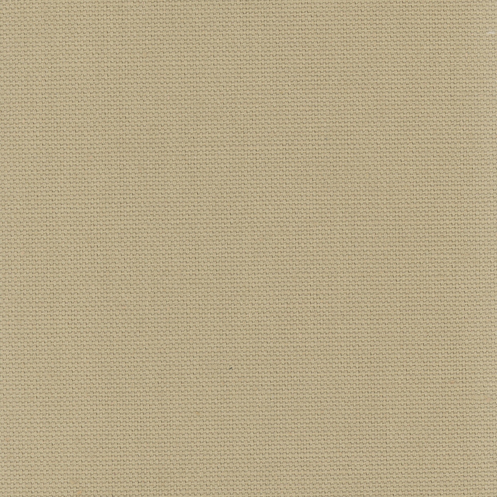 Daydreamer Linen by Carole Designer Fabric Daydreaming 100% Cotton- Soil Release USA Passes 30,000 Double Rubs Wyzenbeek Horizontal: 0 and Vertical: 0 54 - Swanky Fabrics -