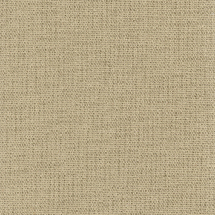 Daydreamer Linen by Carole Designer Fabric Daydreaming 100% Cotton- Soil Release USA Passes 30,000 Double Rubs Wyzenbeek Horizontal: 0 and Vertical: 0 54 - Swanky Fabrics -